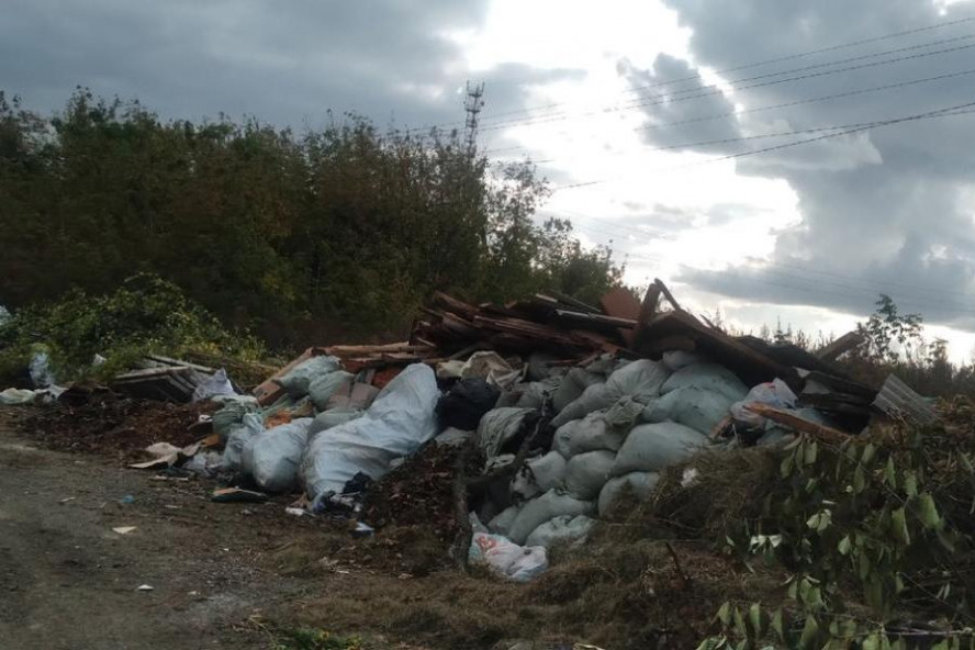 Жители села Стрельцы жалуются на свалку мусора, которая уже разрослась до дороги