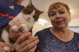Председатель клуба любителей кошек "ГлаМур" Нелли Тарасова и британец циннамон биколор