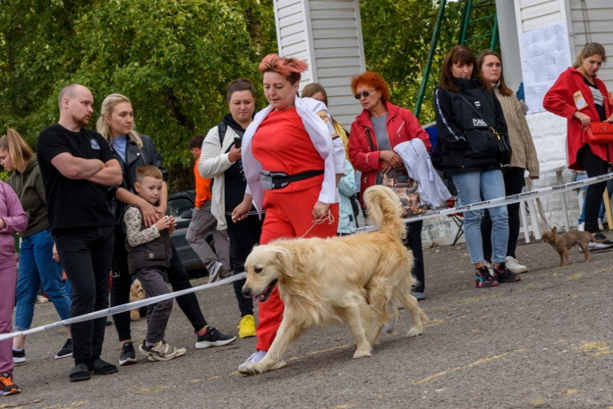 Тамбовчан приглашают 7 мая посетить Всероссийские выставки собак всех пород