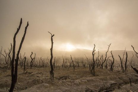 Учёные прогнозируют масштабные засухи в Тамбовской области