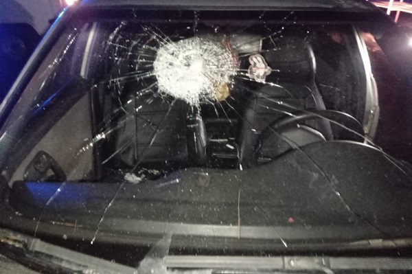 Житель Пичаево разбил палкой чужую машину