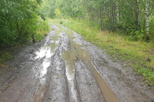Суд обязал администрацию Мичуринска отремонтировать дорогу в микрорайоне Кочетовка