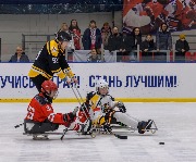 DSV_9262-V.jpg