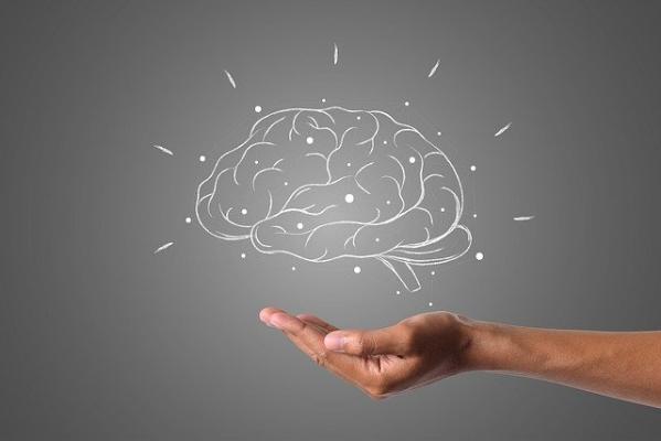 Учёные выяснили, почему уменьшился мозг современного человека