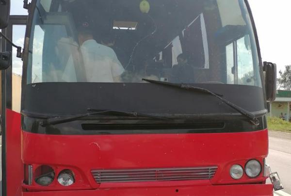 Под Тамбовом пассажирский автобус насмерть сбил пешехода