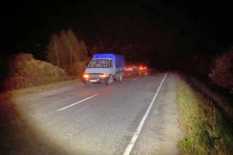 В Тамбовской области столкнулись "Хендай" и "ГАЗель": водитель иномарки погиб