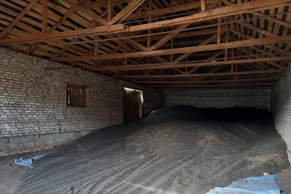В Сампурском районе украли 13 тонн семян подсолнечника