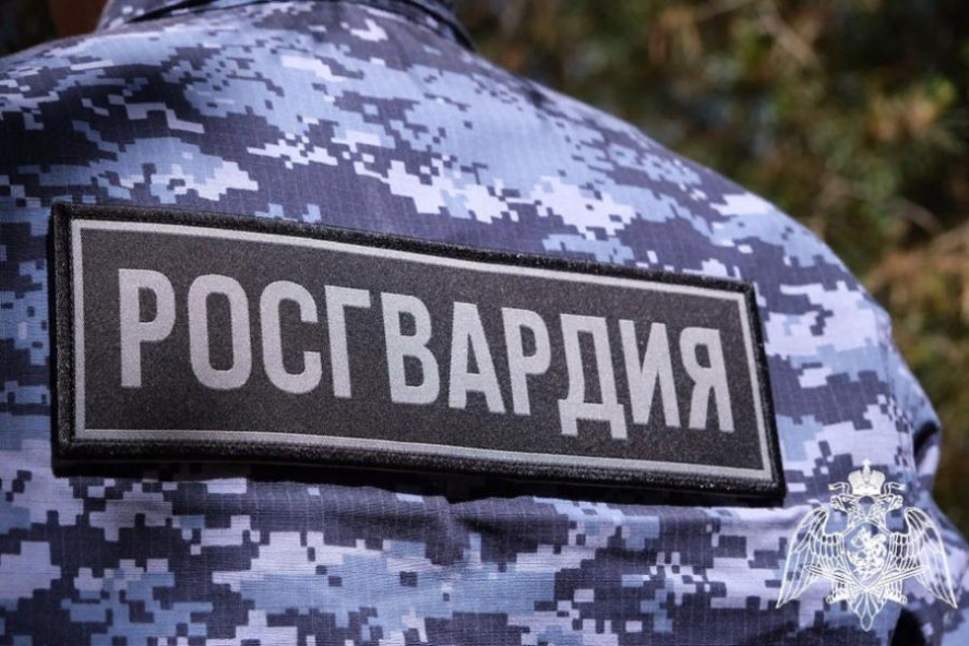 В Тамбовской области росгвардейцы задержали мужчину, находящегося в федеральном розыске 