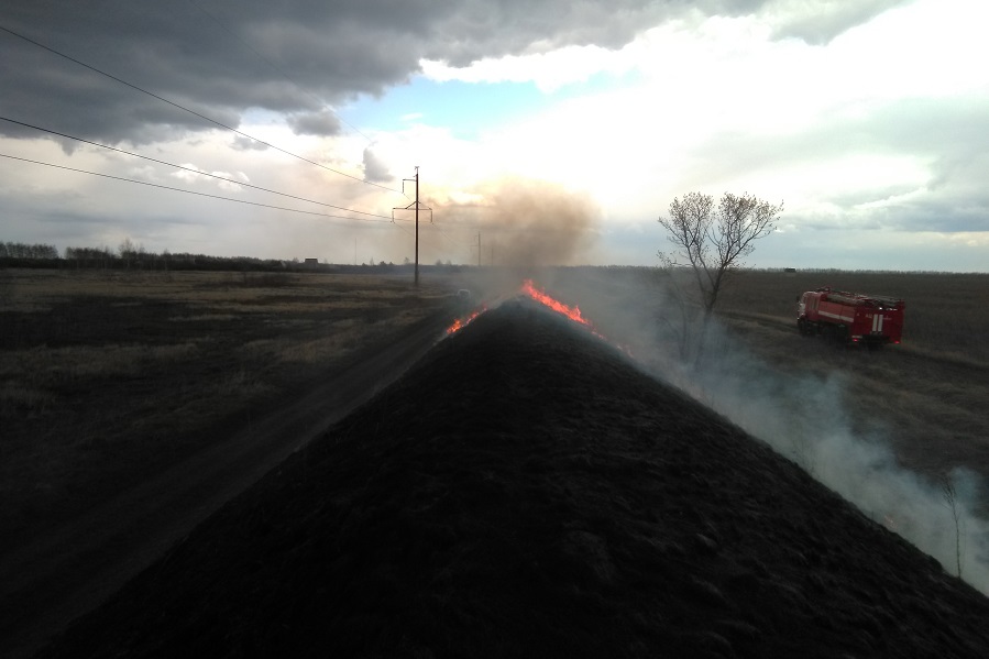 В Ржаксинском районе привлекут ответственных за горение травы