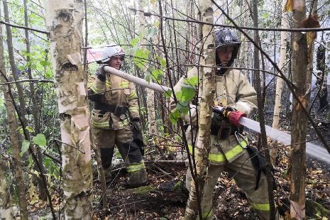 Тамбовские пожарные помогают тушить горящий лес в Рязанской области