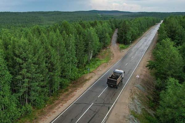 В Рослесхозе прокомментировали целесообразность приватизации отечественных лесов