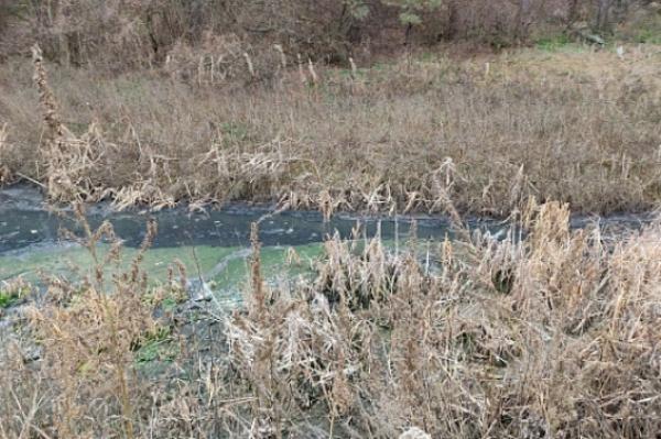 МУП "Бытовик" оштрафовали за разлив сточных вод в Кирсановском районе