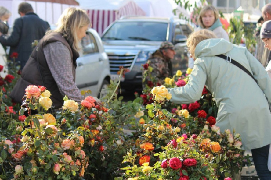 В Тамбове стартовал сезон продаж живых цветов