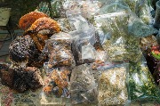 DSCF8173.jpg