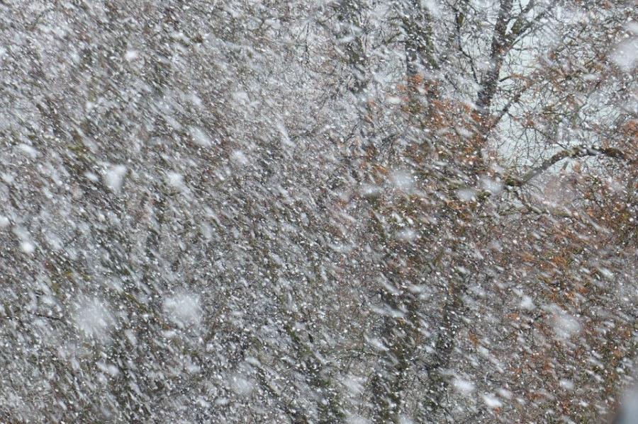 В ближайшие часы в Тамбовской области ожидается сильный снег