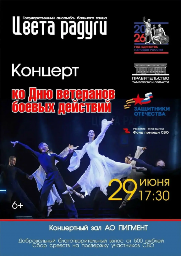 Концерт ко Дню ветеранов боевых действий