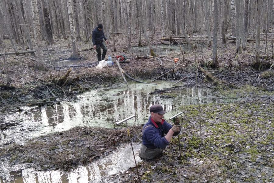 Тамбовские поисковики обнаружили останки шести солдат в Ленинградской области