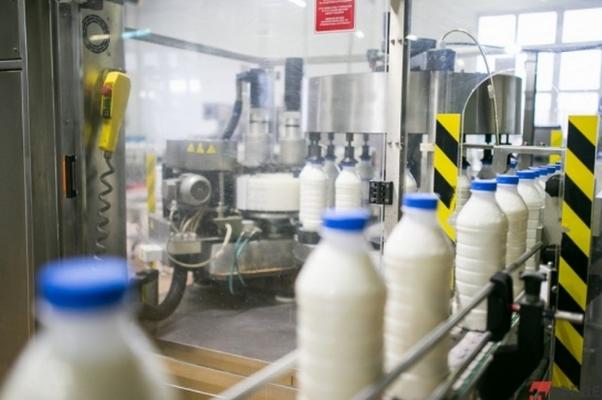 Тамбовский молокозавод оштрафован за нарушение ветеринарных требований
