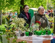 DSC_8208.jpg