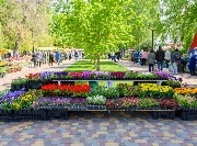 DSC_8214.jpg