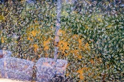 DSCF3602.jpg