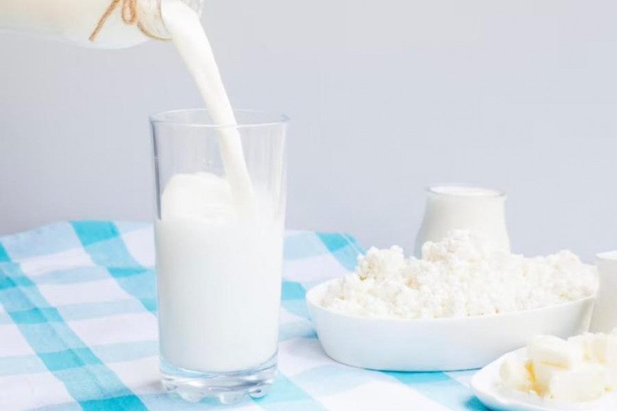 Молоко от больных лейкозом коров могло поступить на прилавки Тамбовской области