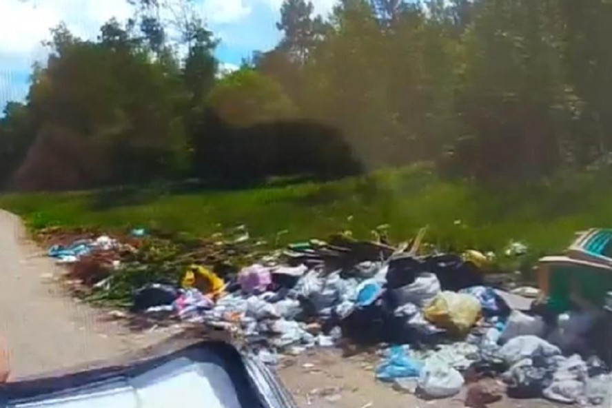 В Тамбове оштрафовали жителей, выбрасывающих мусор в районе парка "Дружба"