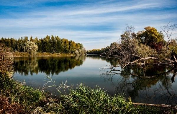 Расчистку реки Лесной Тамбов планируют провести в течение 10 лет