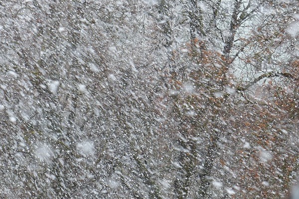 В МЧС тамбовчан предупредили о мокром снеге