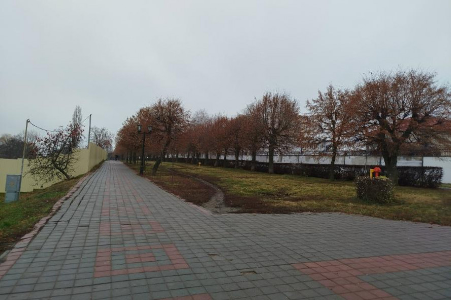 Итоги дня: товарооборот Большой осенней ярмарки, освещение возле ЛДС "Кристалл", проверка питания в детских садах