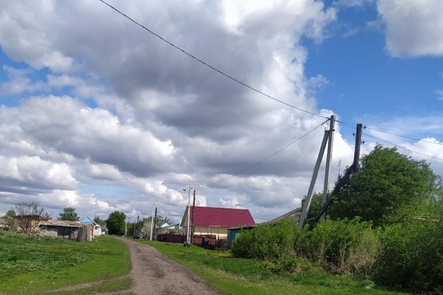 В двух округах Тамбовской области введён карантин по бешенству животных