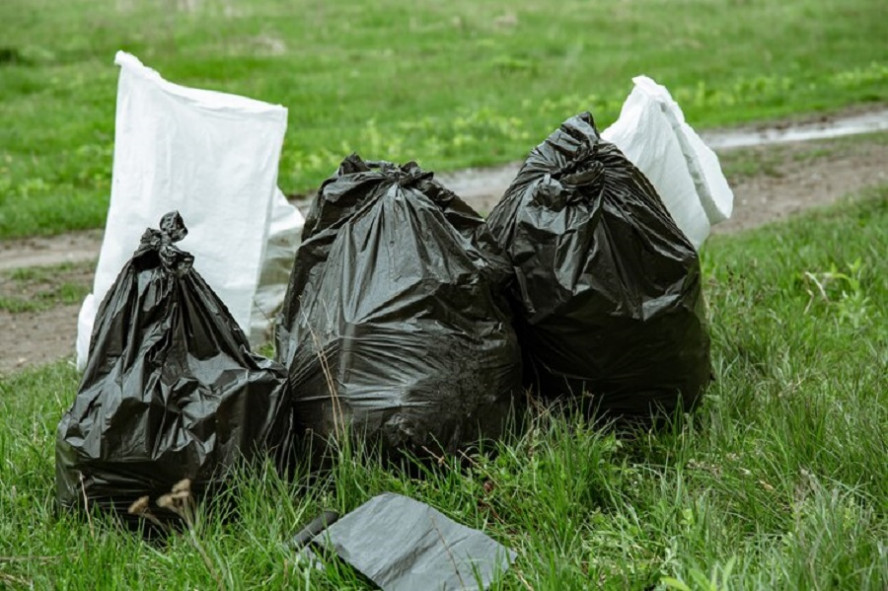 В Тамбове начали принимать заявки на вывоз мусора после субботников