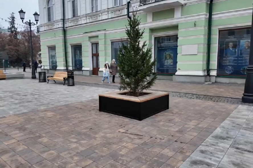 Обновленный Тамбовский Арбат украсят 38 декоративных елей