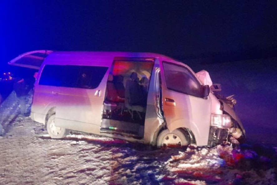 В Тамбовской области в ДТП с микроавтобусом погибли два человека