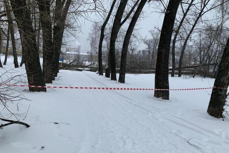 В Котовске начали подготовку места строительства плавательного бассейна