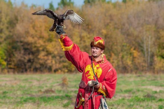 Тамбовчан познакомят с традициями русской соколиной охоты