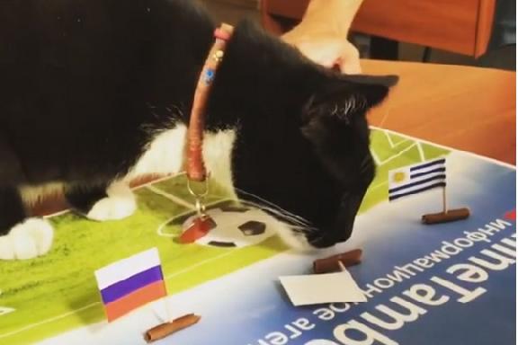 В Тамбове кот Постер предсказал, как сыграют Россия и Уругвай