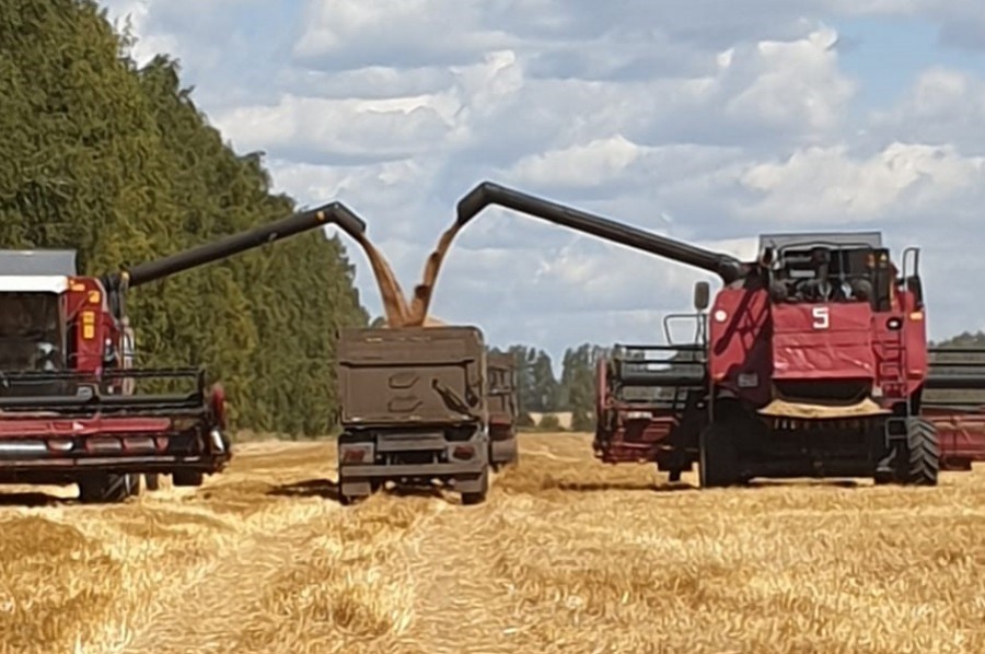 Урожай зерна в Тамбовской области превысил 4,4 млн тонн