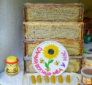 DSCF8127.jpg