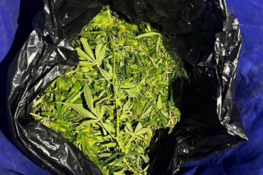 В Кирсановском округе у водителя обнаружили 30 кг марихуаны