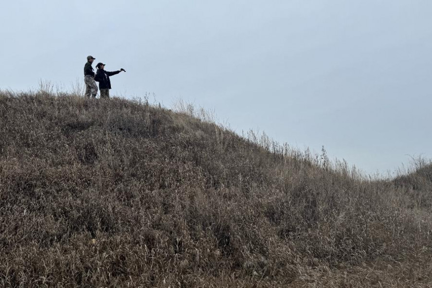 В Тамбовской области завершился первый этап проекта по возрождению соколов