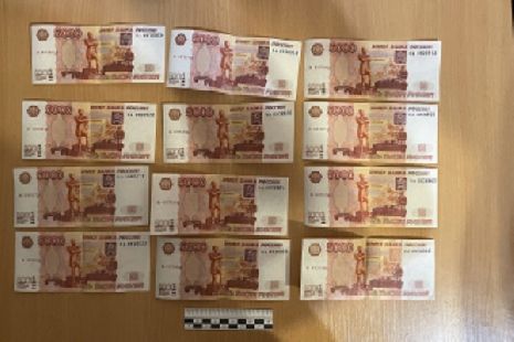 В Тамбовской области в прошлом году изъято 277 фальшивых денежных купюр