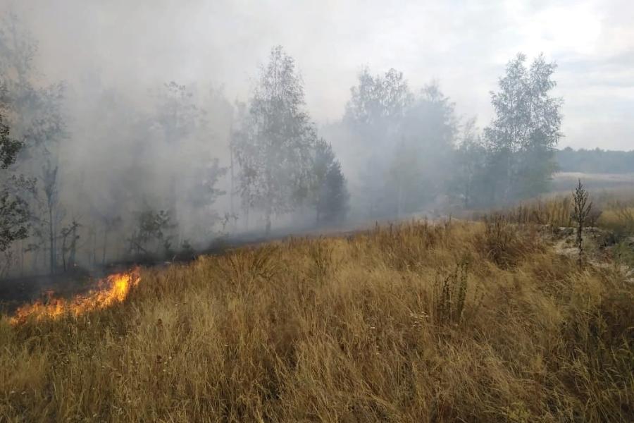 За сутки в Тамбовской области произошло 63 пожара