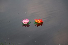 IMG_3483.JPG