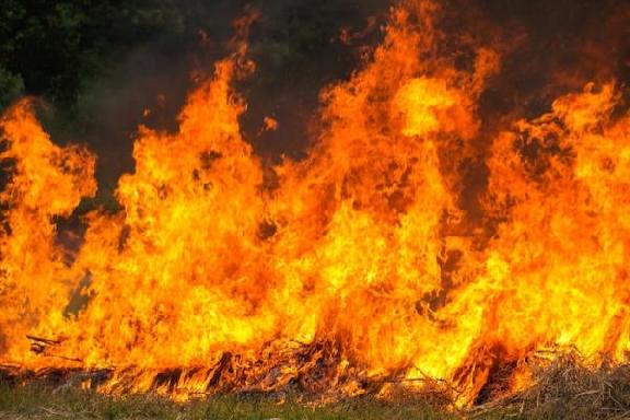 В четырёх районах Тамбовской области ожидается чрезвычайная пожарная опасность