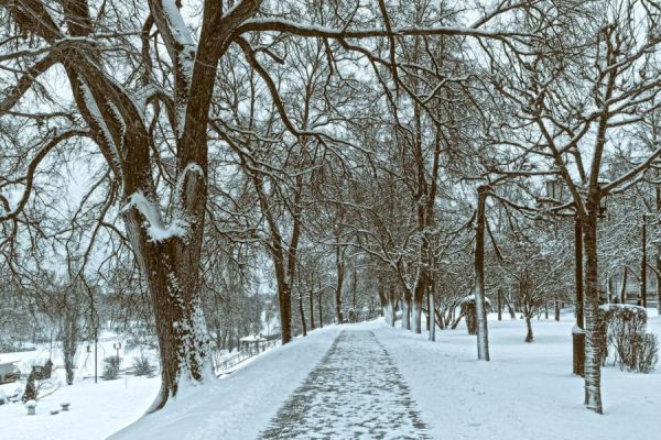 Синоптики о погоде: зима нанесёт кратковременный визит в Тамбовскую область