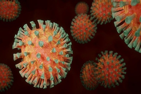 Дмитрий Медведев дал оценку развитию пандемии коронавируса