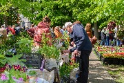 DSC_8177.jpg