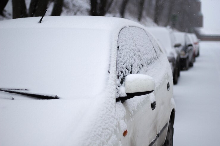 Водителей одной из улиц Тамбова просят убрать автомобили для расчистки снега