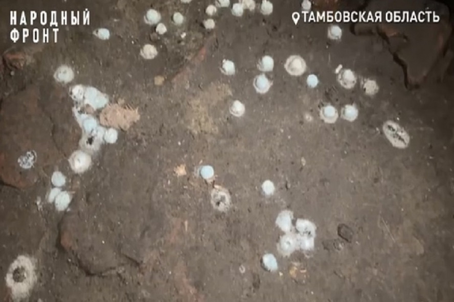 Жители двух домов на Мичуринской в Тамбове страдают от подтопления подвалов